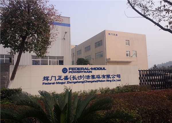 輝門(mén)正盛(長(zhǎng)沙)活塞環(huán)有限公司485抄表系統(tǒng)項(xiàng)目