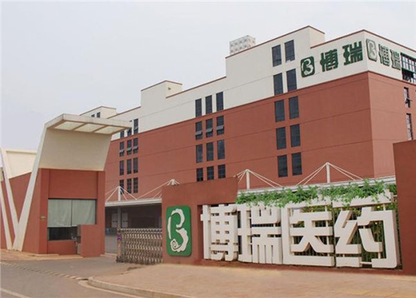 湖南博瑞醫(yī)藥產(chǎn)業(yè)園遠(yuǎn)程預(yù)付費系統(tǒng)